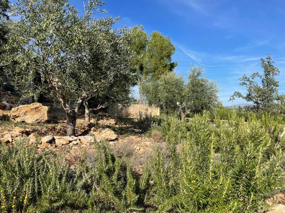 Photo of Others in Fayence