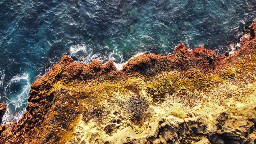 Photo of Human In Picture in Mushroom Bay