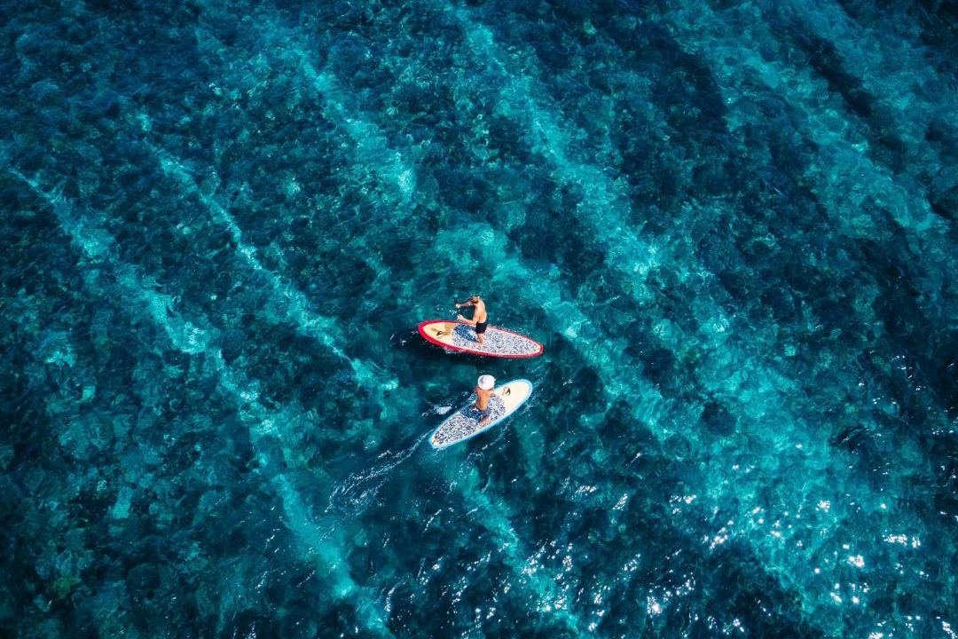 Photo of Others in Mushroom Bay