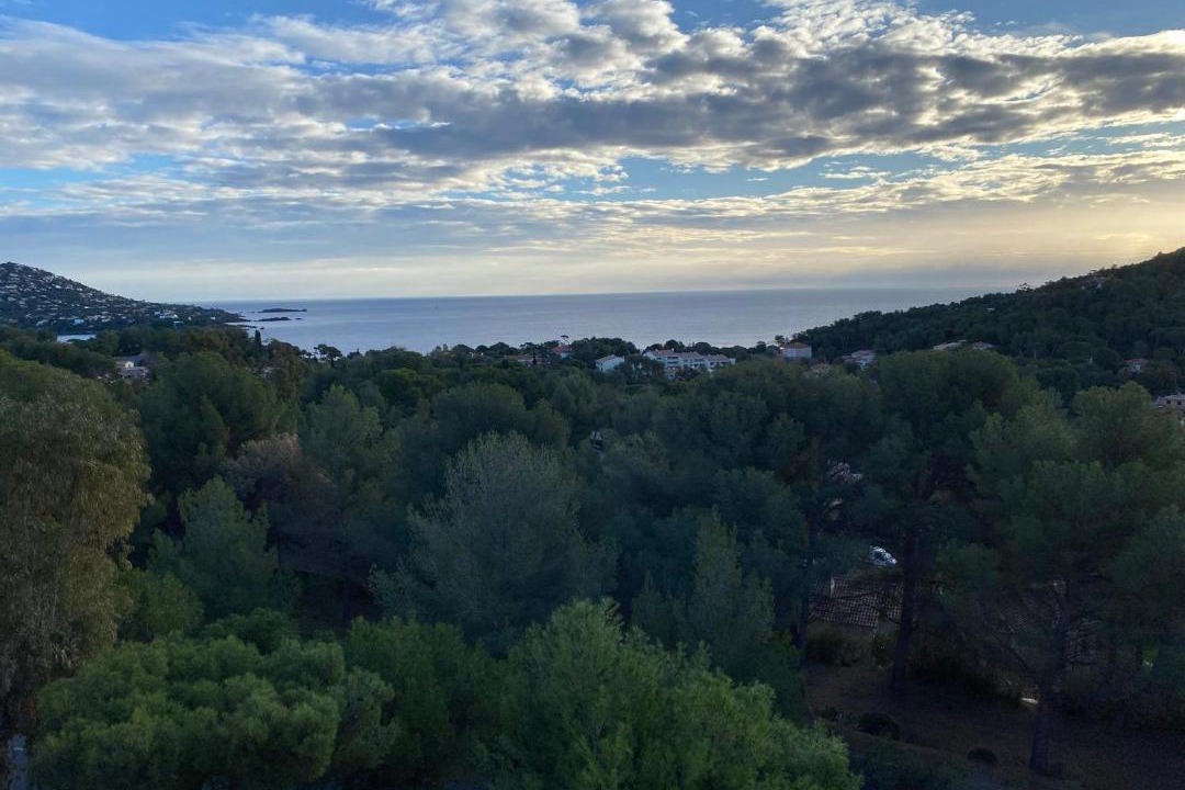 Photo of Others in Cap Esterel