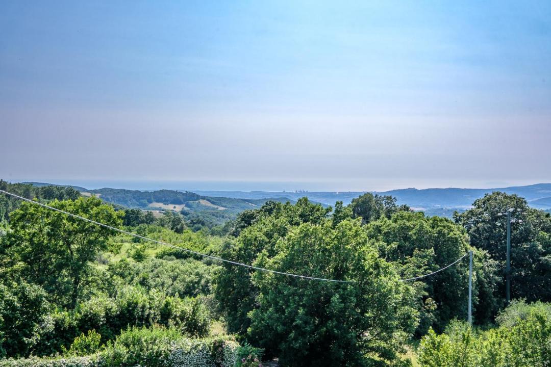 Photo of Others in Castellina Marittima