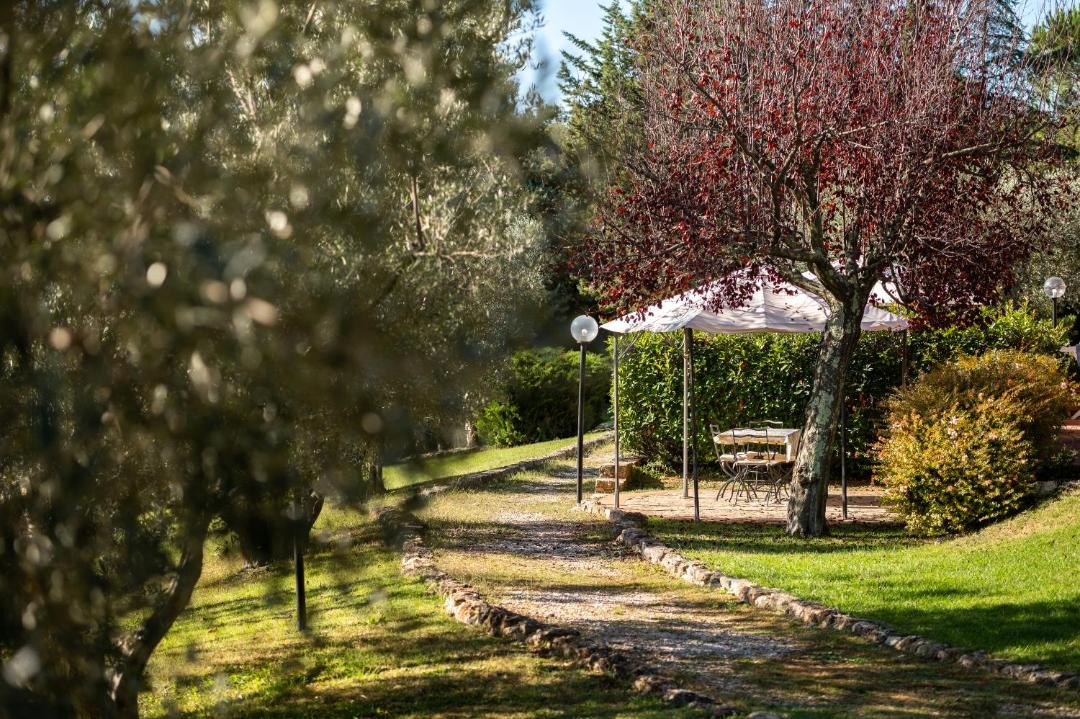 Photo of Others in Massa Marittima