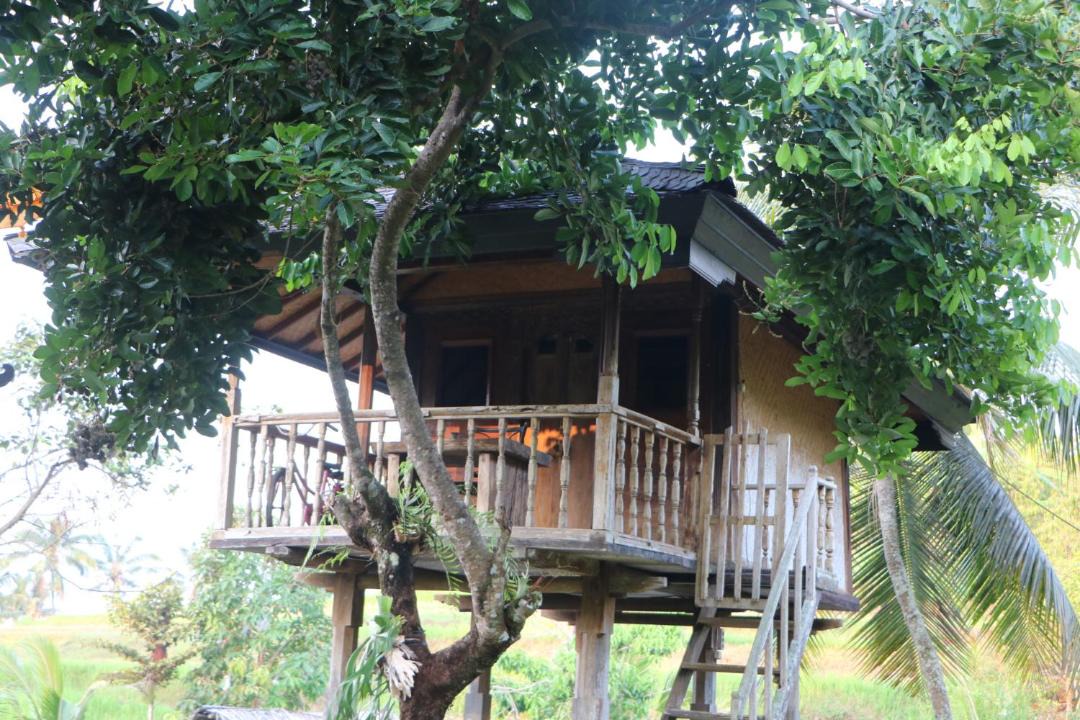 Photo of Others in Sukasada
