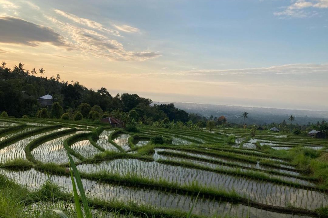 Photo of Others in Sukasada