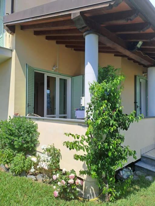 Photo of Others in Camaiore