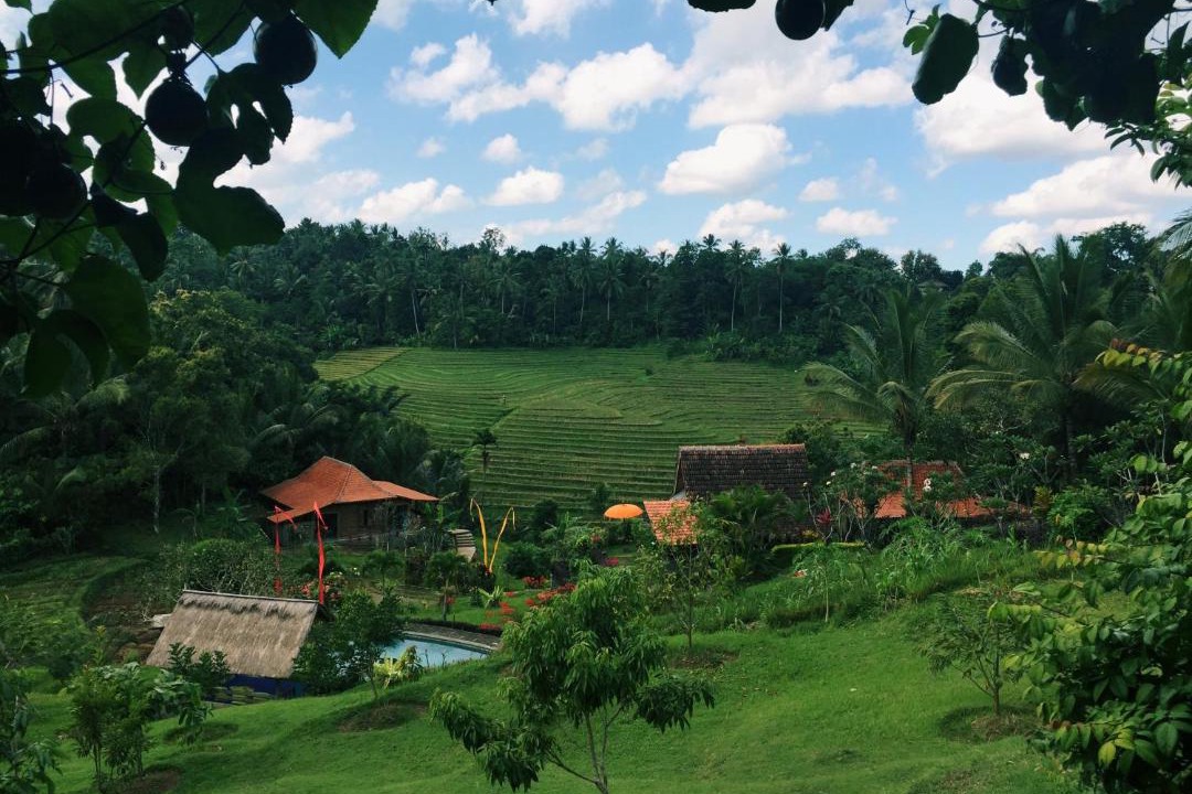 Photo of Others in East Selemadeg