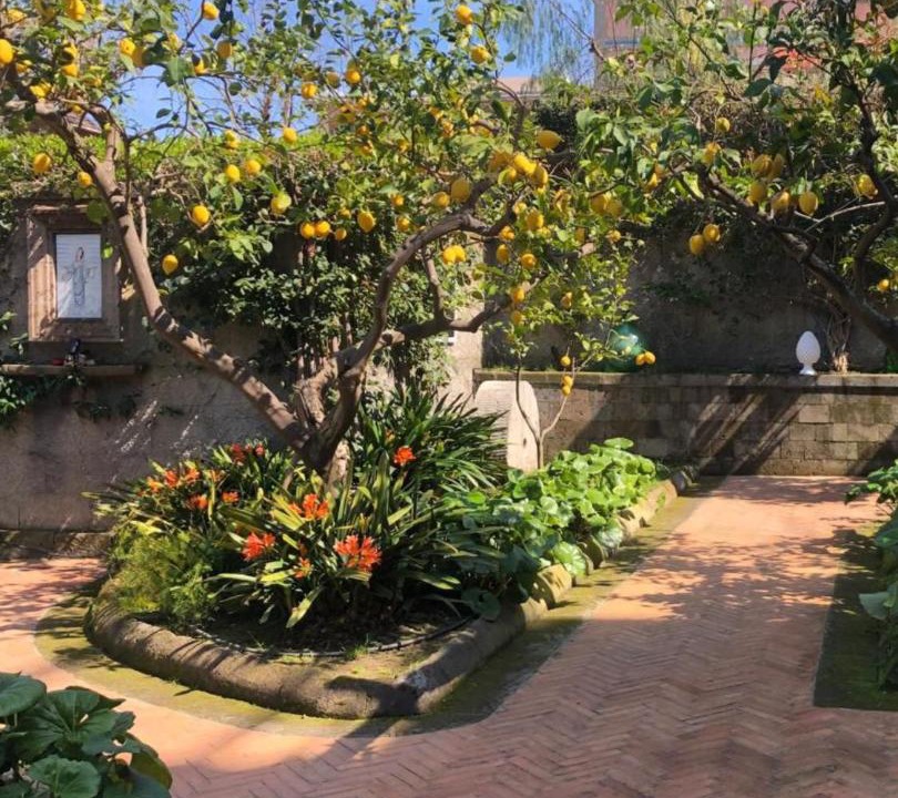 Photo of Others in Sorrento Historic Centre