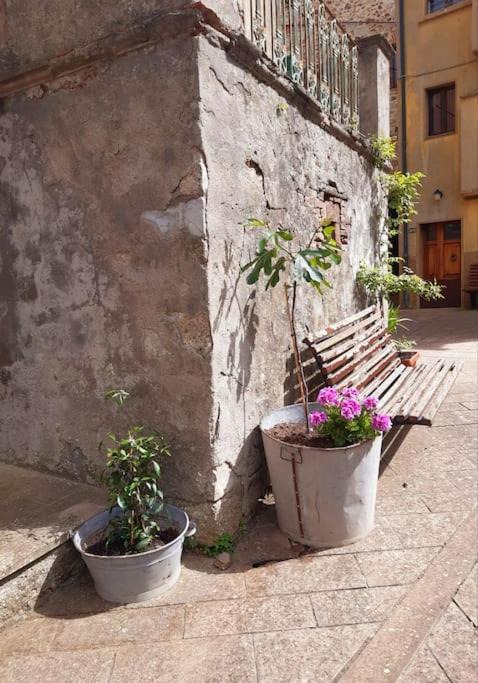 Photo of Others in Boccheggiano