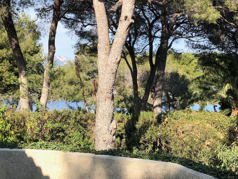 Photo of Others in Cap-Ferrat