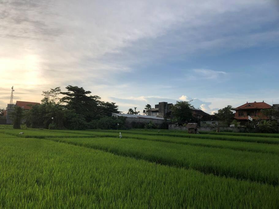 Photo of Others in Batubulan