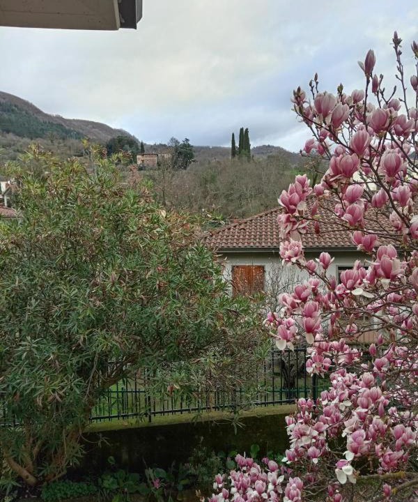 Photo of Others in Fivizzano