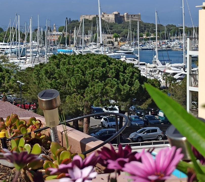 Photo of Others in Antibes City Centre