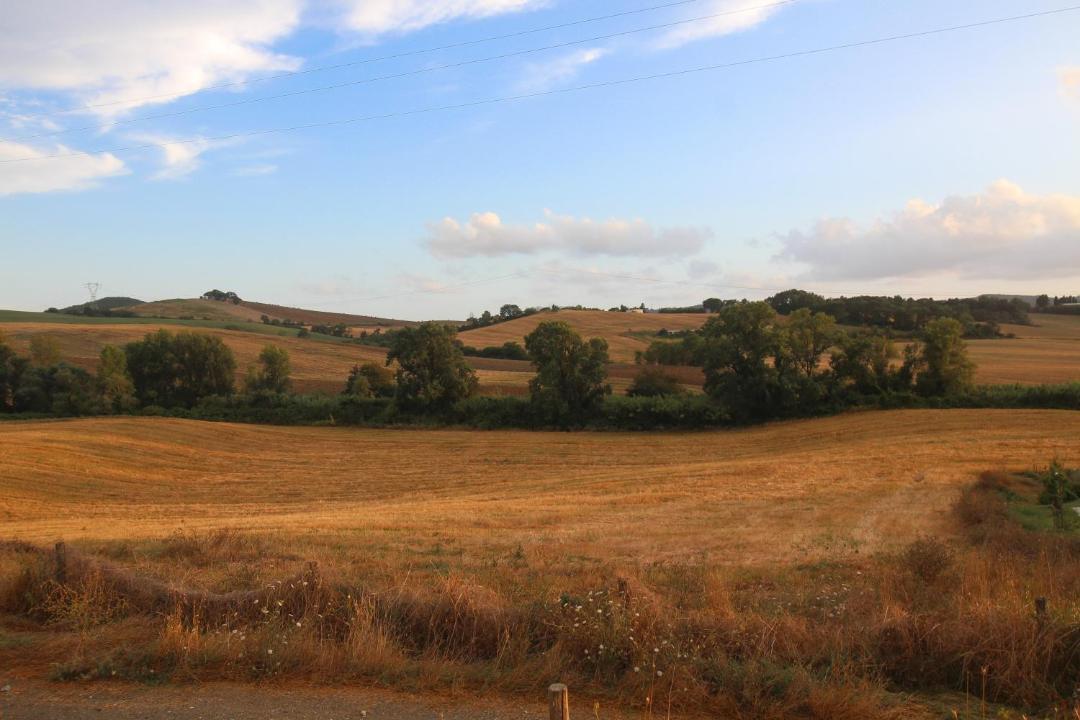 Photo of Others in Santa Luce
