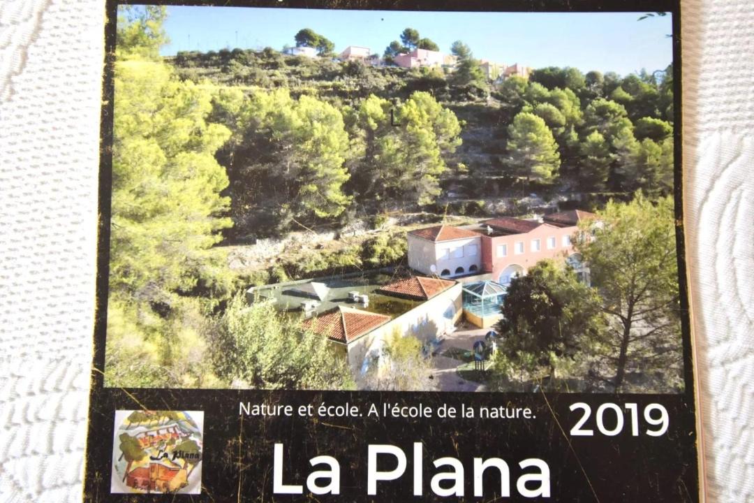 Photo of Others in La Trinite