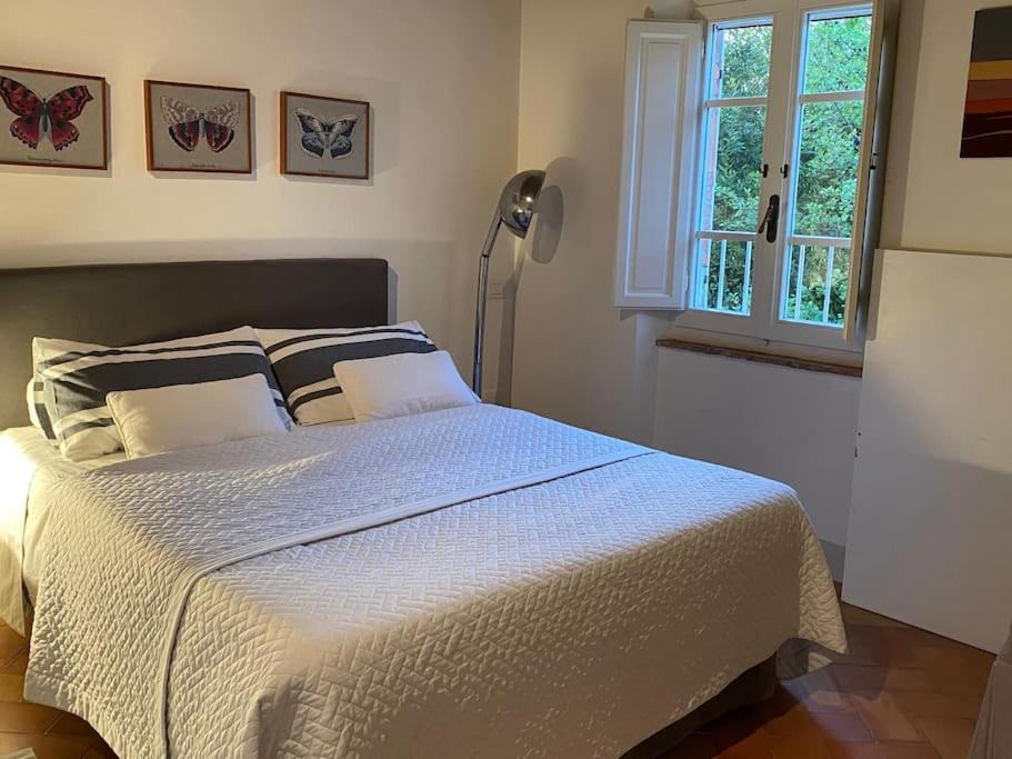 Photo of Bedroom in Forte dei Marmi