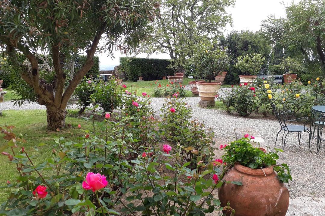 Photo of Others in Petrognano