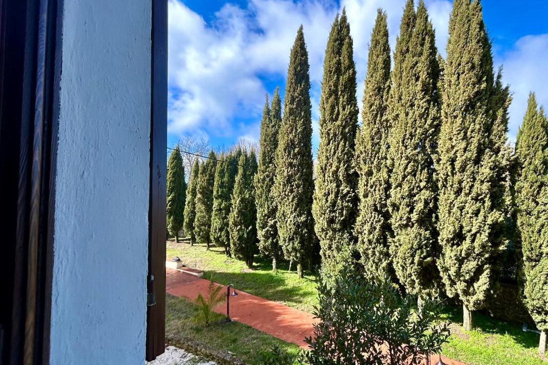 Photo of Others in Simignano