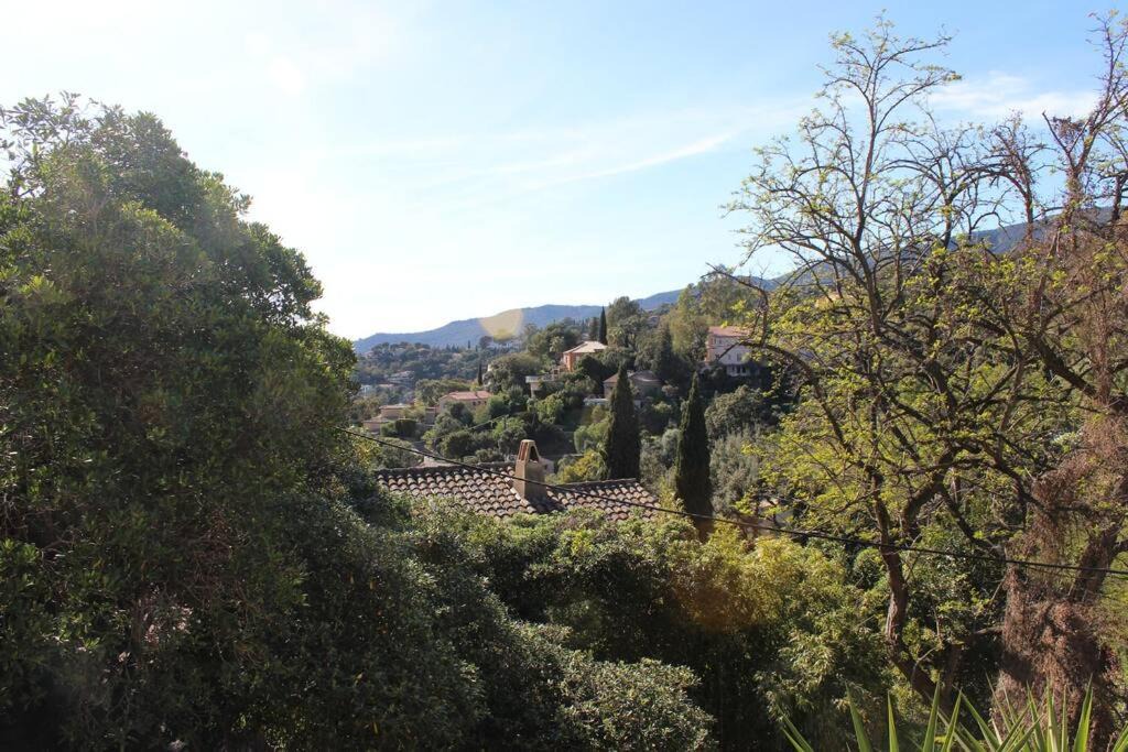 Photo of Others in Le Rayol