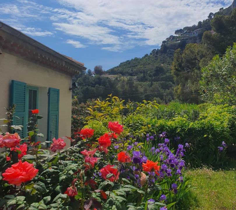 Photo of Buildings in Eze