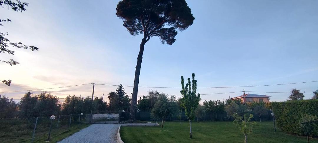 Photo of Outdoor in Cecina
