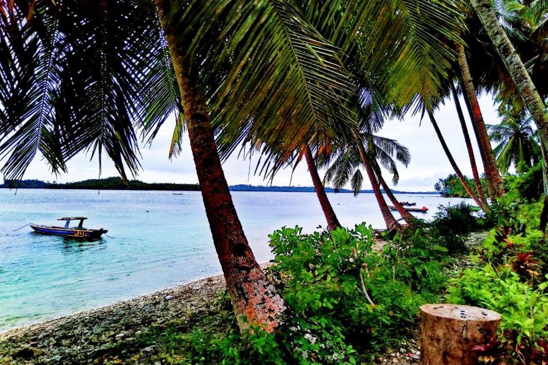 Photo of Others in Pulau Masokut