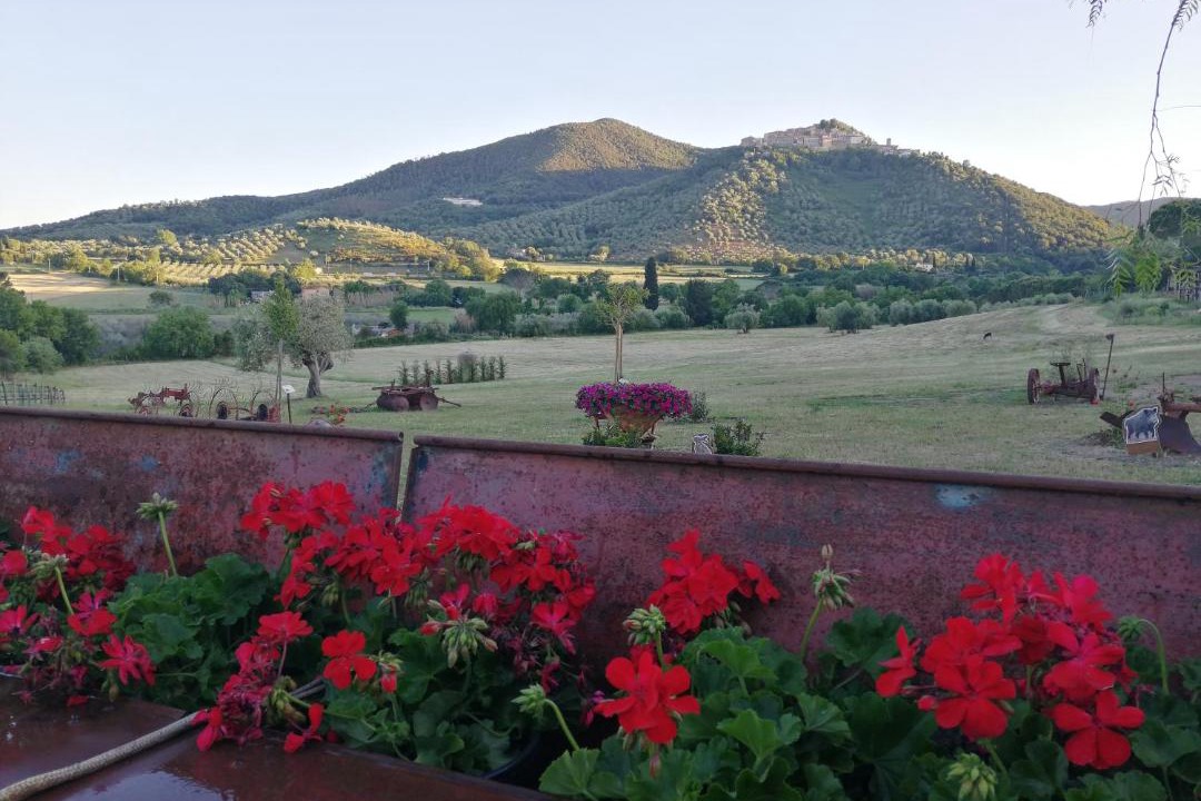 Photo of Outdoor in Castiglione della Pescaia