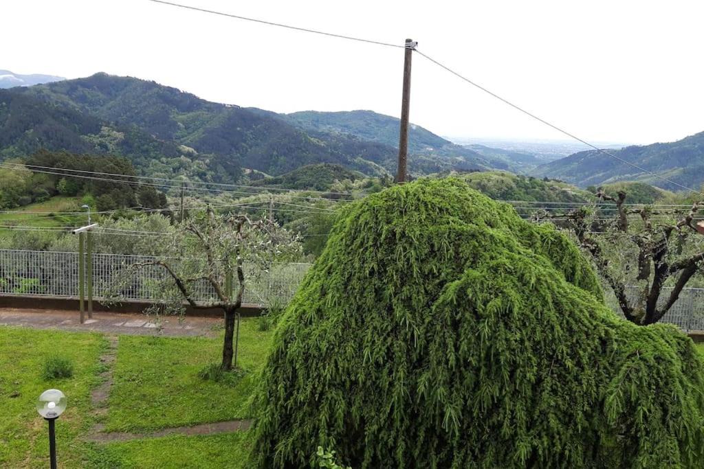 Photo of Others in Villabuona