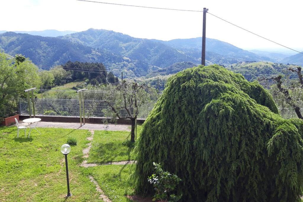 Photo of Others in Villabuona