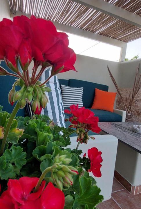 Photo of Patio Balcony in Pyrgos