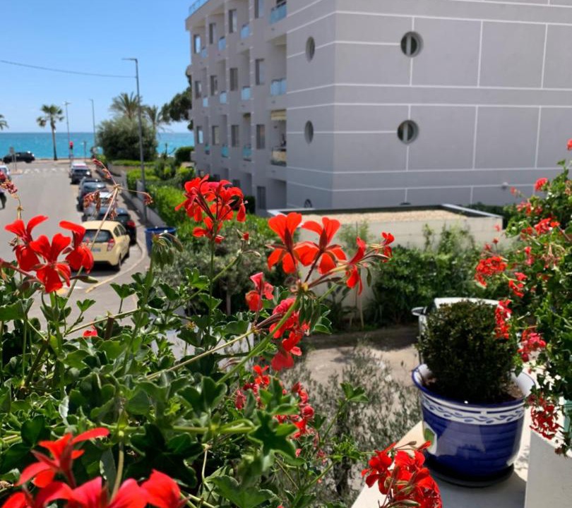 Photo of Others in Cros-de-Cagnes