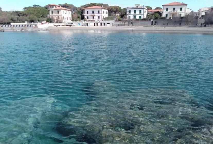 Photo of Others in Castiglioncello