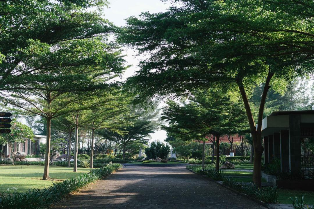 Photo of Others in Mlonggo