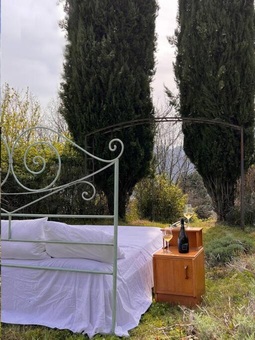 Photo of Others in Coreglia Antelminelli