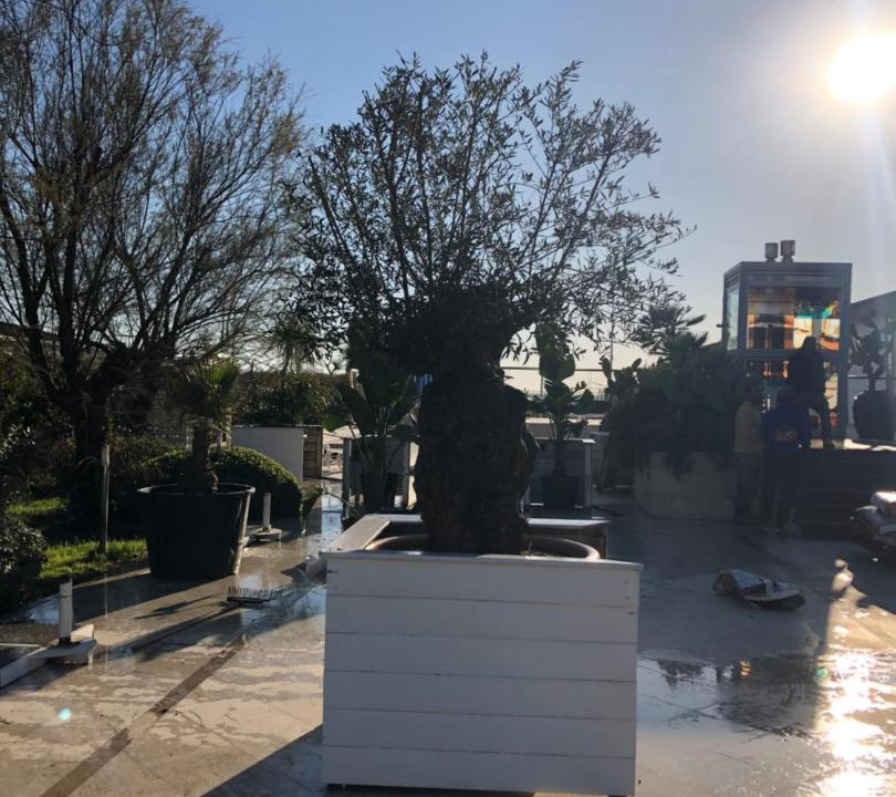 Photo of Others in Viareggio
