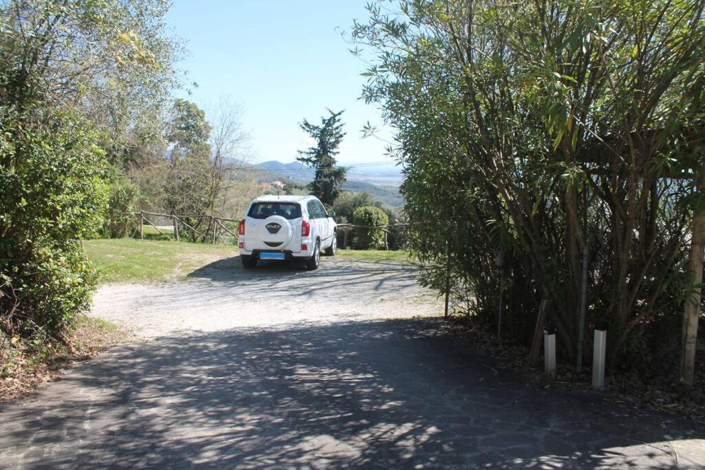 Photo of Others in Corsanico-Bargecchia