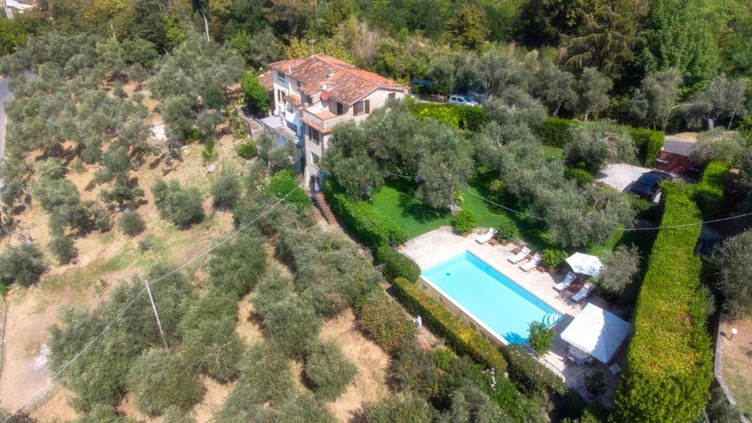 Photo of Outdoor in Camaiore