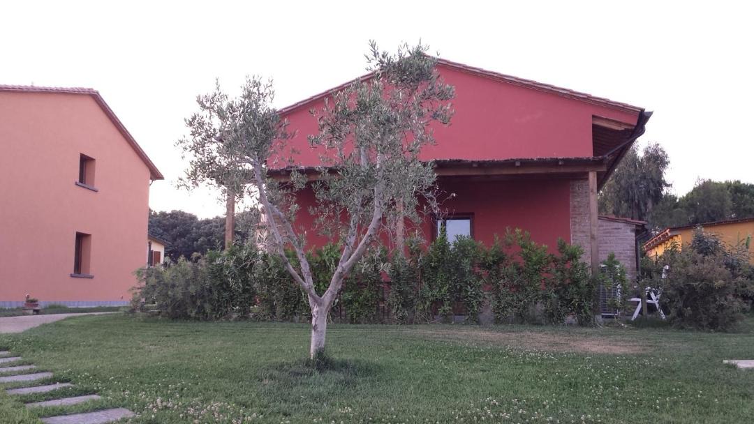 Photo of Others in Collesalvetti