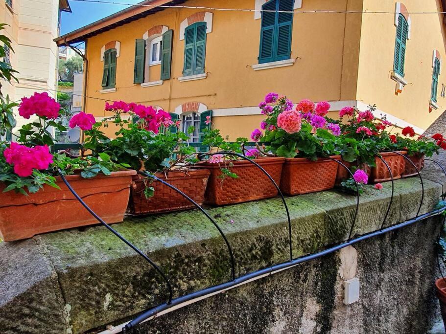 Photo of Others in Camogli