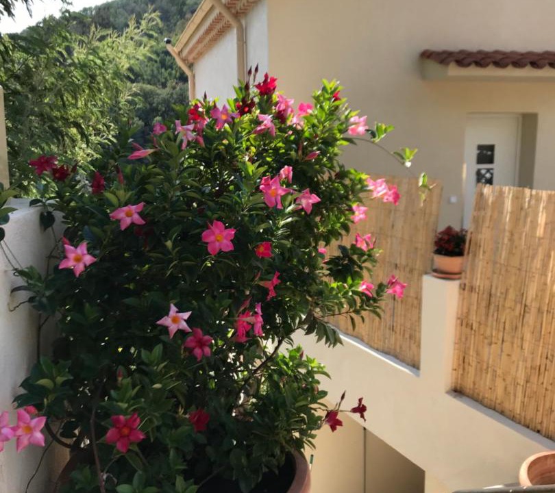 Photo of Patio Balcony in Theoule-sur-Mer