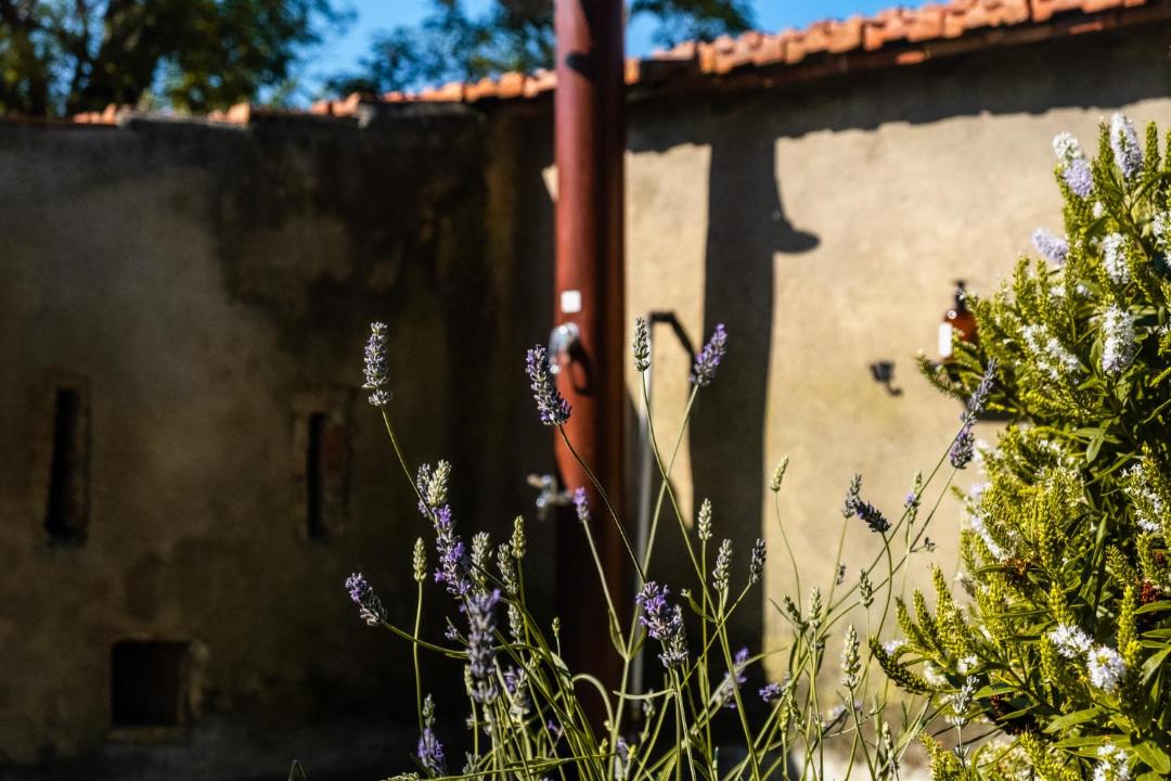 Photo of Others in Castiglioncello