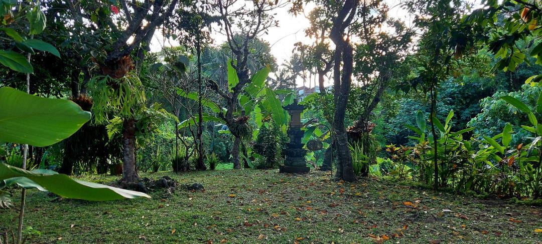 Photo of Outdoor in Peliatan