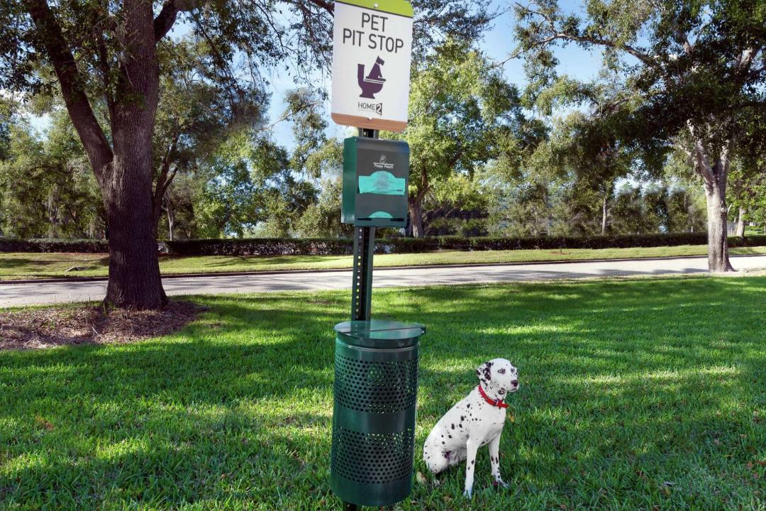 Photo of Others in Orlando