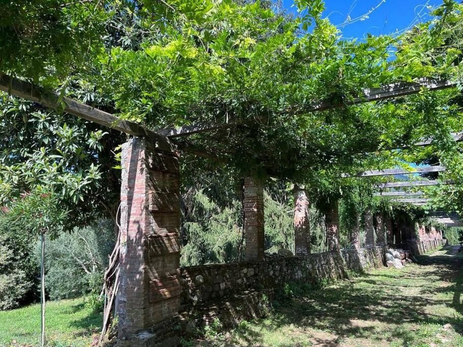 Photo of Others in Pescaglia