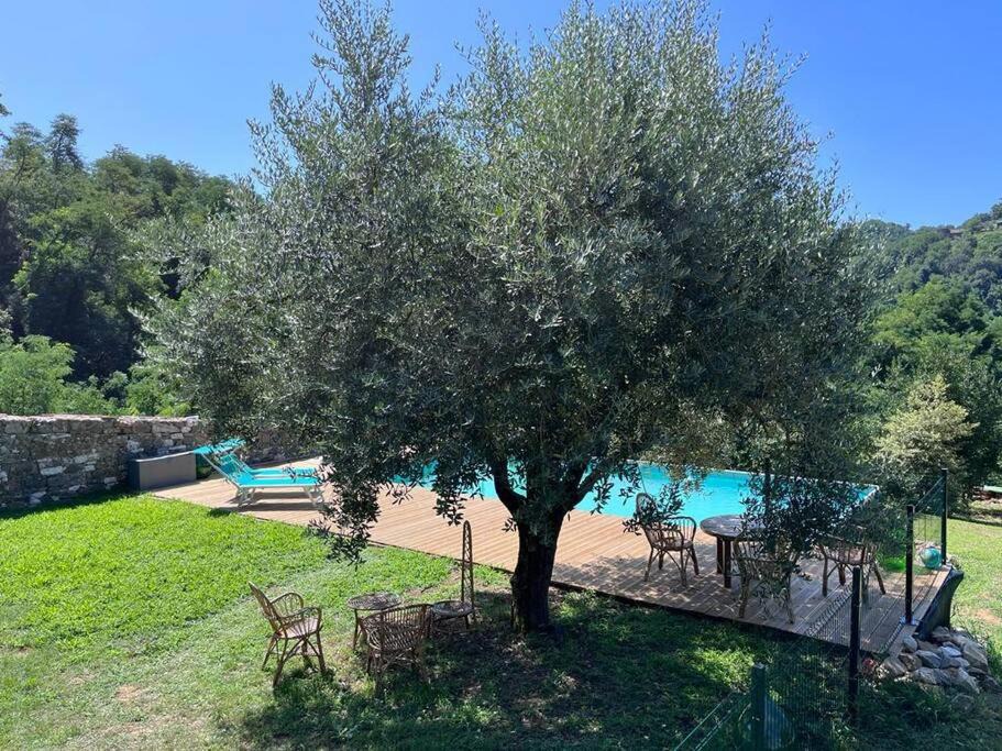 Photo of Outdoor in Pescaglia