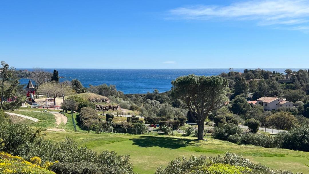 Photo of Others in Cap Esterel