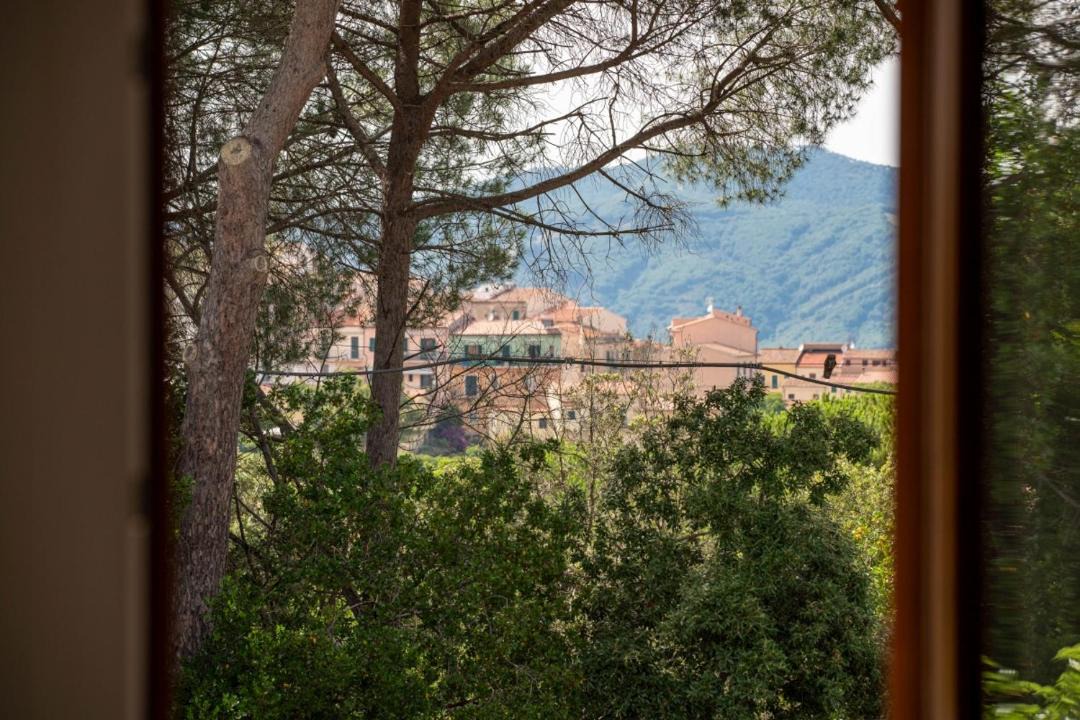 Photo of Others in Capoliveri