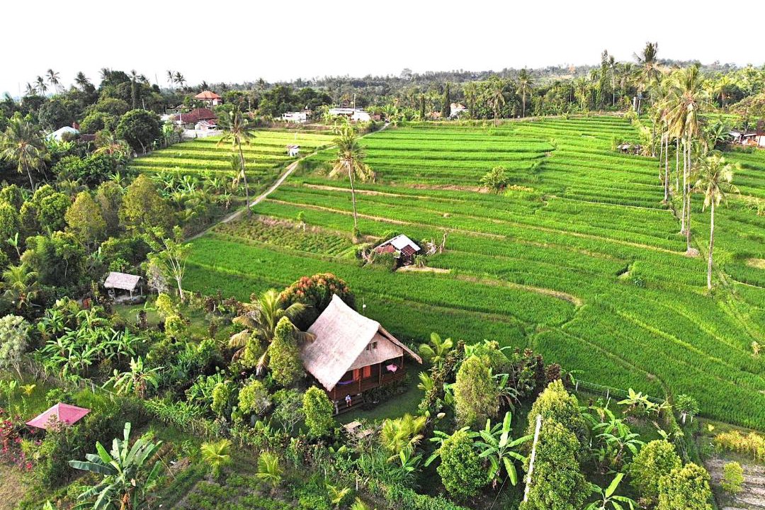 Photo of Others in Sukasada