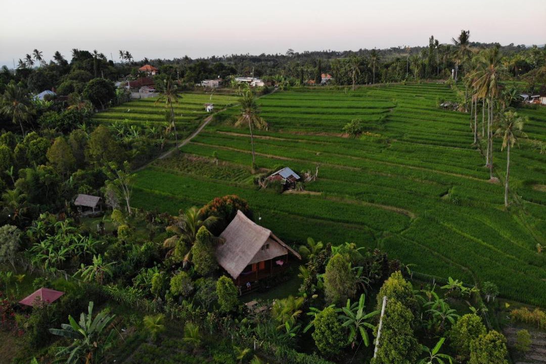 Photo of Others in Sukasada