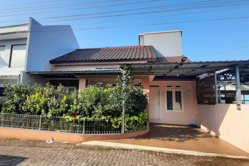 Photo of Buildings in Cibodas