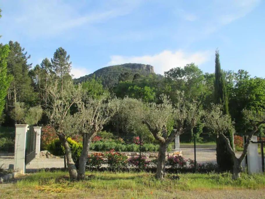 Photo of Others in Bagnols-en-Foret